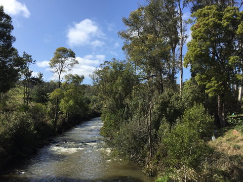 Pipers River Board Walk - ACT Tourism 1