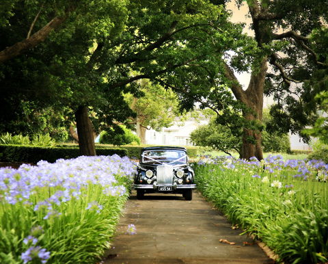 Queens Park, Toowoomba - ACT Tourism 2