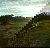 Scenic NSW Horse Riding Centre - ACT Tourism