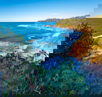 Shellgrit Beach Red Head - ACT Tourism
