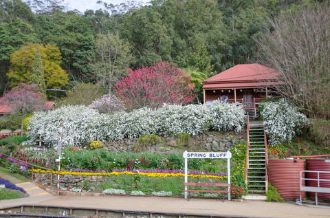 Spring Bluff Railway Station - ACT Tourism 1