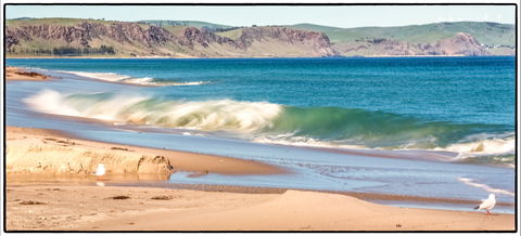 Starfish Hill Windfarm - ACT Tourism 0