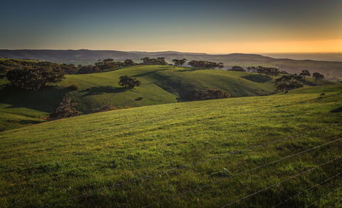 Starfish Hill Windfarm - ACT Tourism 1
