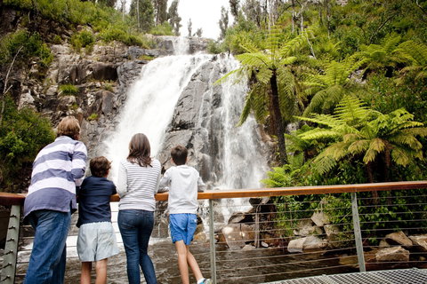 Steavenson Falls - ACT Tourism 0