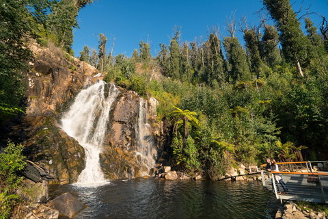 Steavenson Falls - ACT Tourism 1