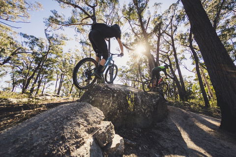 St Helens Mountain Bike Trails - ACT Tourism 1