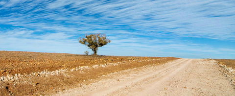 Sturts Steps Touring Route - ACT Tourism 0