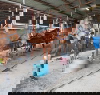 The Equine Club - ACT Tourism