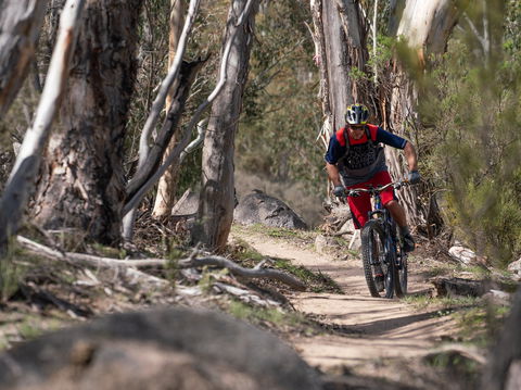 Thredbo Valley Track - ACT Tourism 2