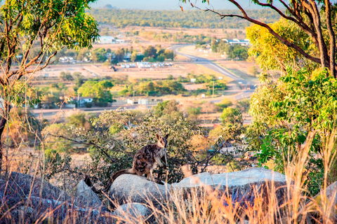 Towers Hill Lookout And Amphitheatre - ACT Tourism 2