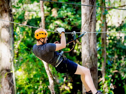 TreeTop Challenge Currumbin Wildlife Sanctuary - ACT Tourism 0