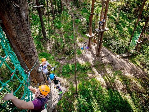 TreeTop Challenge Currumbin Wildlife Sanctuary - ACT Tourism 2