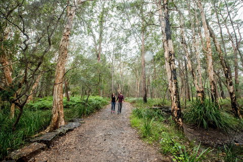 Venman Bushland National Park - ACT Tourism 0