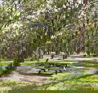 Wollomombi Gorge and Falls Picnic Area - ACT Tourism