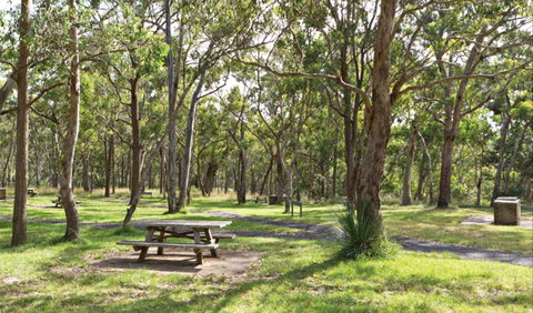 Wollomombi Gorge And Falls Picnic Area - ACT Tourism 0