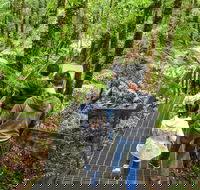 Yarra Ranges National Park - ACT Tourism