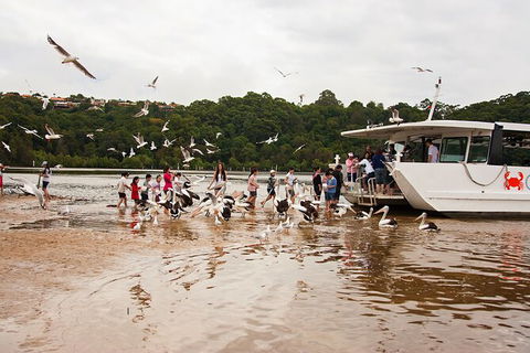 Catch A Crab Tour With Optional Seafood Lunch - ACT Tourism 1