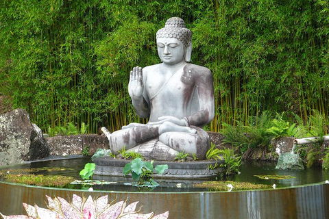 Crystal Castle Shuttle From Byron Bay (full Day) - ACT Tourism 0