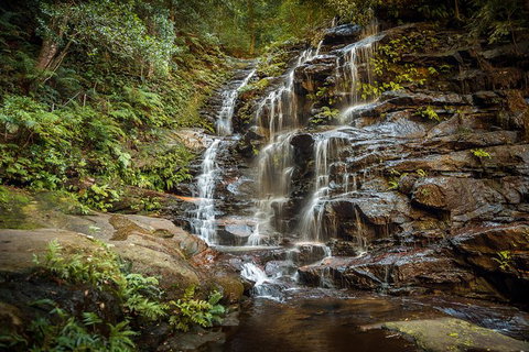 Ultimate Blue Mountains Waterfalls, Walks & Sunset PRIVATE Tour - ACT Tourism 10