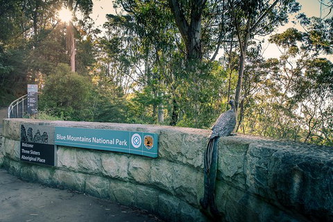 Ultimate Blue Mountains Waterfalls, Walks & Sunset PRIVATE Tour - ACT Tourism 8