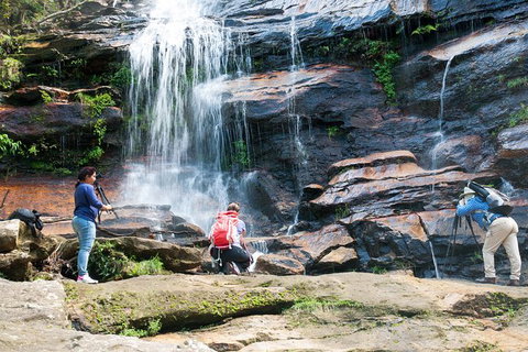Ultimate Blue Mountains Waterfalls, Walks & Sunset PRIVATE Tour - ACT Tourism 11