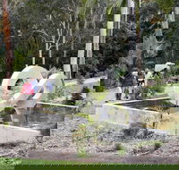 Maroochy Regional Bushland Botanic Garden - ACT Tourism