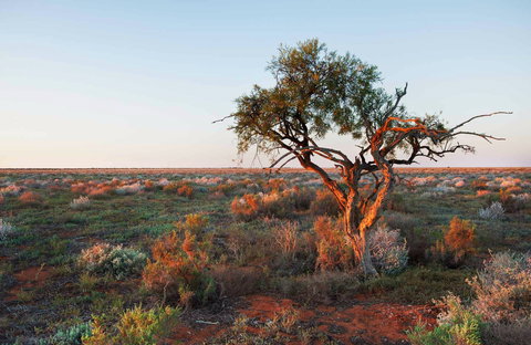 Merton Motor Trail - ACT Tourism 0