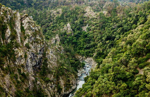 Tiara Walking Track - ACT Tourism 0