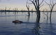 Yarrawonga-Mulwala - thumb 1