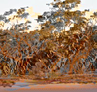 Yawura Yarun - ACT Tourism