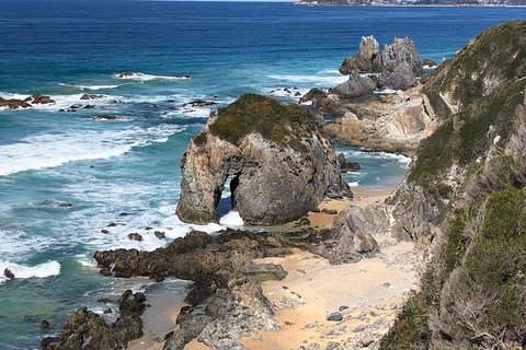 Narooma And Tilba Valley Private Tour - ACT Tourism 8