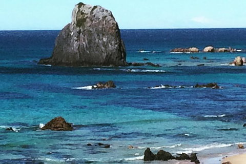 Narooma And Tilba Valley Private Tour - ACT Tourism 9