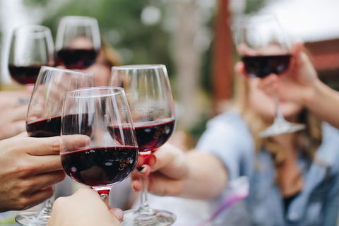Six Hour - Plan Your Own Wine And Cheese Tour Hunter Valley - ACT Tourism 8