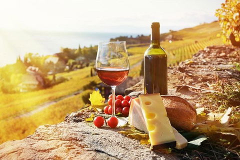 Six Hour - Plan Your Own Wine And Cheese Tour Hunter Valley - ACT Tourism 0