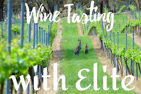 Six Hour - Plan Your Own Wine And Cheese Tour Hunter Valley - ACT Tourism 7