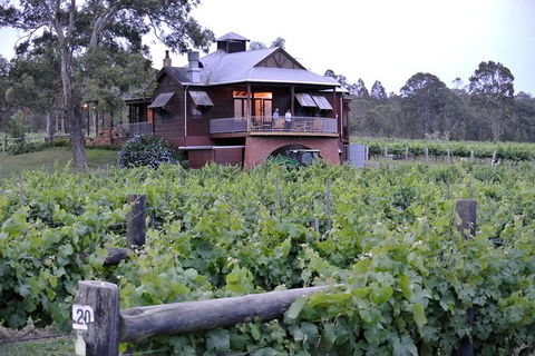 Six Hour - Plan Your Own Wine And Cheese Tour Hunter Valley - ACT Tourism 11