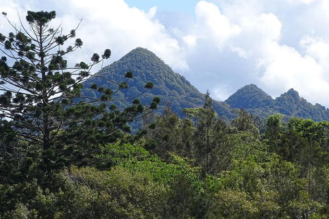 Byron Bay Rainforest Eco-Cruise - ACT Tourism 3