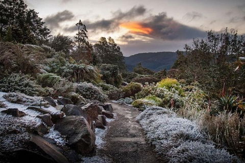 Blue Mountains Botanic Garden And Bilpin Tour From Katoomba With Cider Tasting - ACT Tourism 2