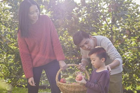 Blue Mountains Botanic Garden And Bilpin Tour From Katoomba With Cider Tasting - ACT Tourism 1