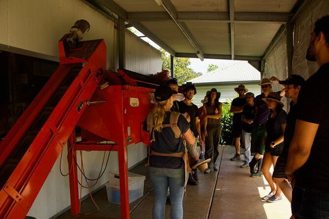 Pecan Farm Tour And Workshop, Byron Bay Hinterland - ACT Tourism 4
