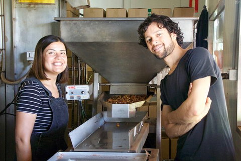 Pecan Farm Tour And Workshop, Byron Bay Hinterland - ACT Tourism 7