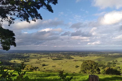 Pecan Farm Tour And Workshop, Byron Bay Hinterland - ACT Tourism 1