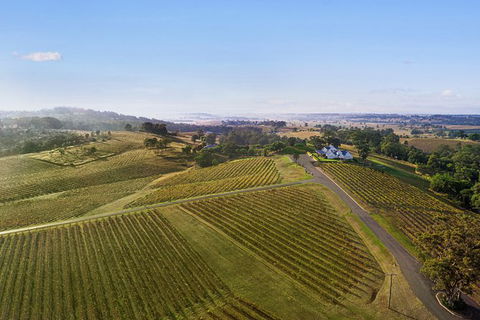 Audrey Wilkinson Vineyard: Fromage And Fortified Wine Experience - ACT Tourism 1