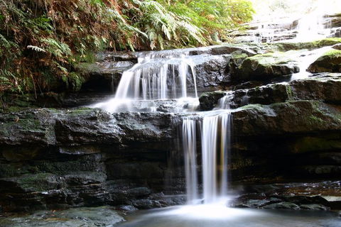 Private 10-hour Tour To Blue Mountains From Sydney - Hotel Pick Up & Drop Off - ACT Tourism 6