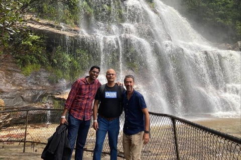 Blue Mountains Highlights & Wildlife Park - ACT Tourism 4