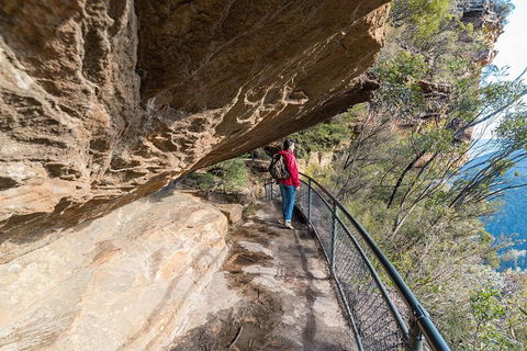 Blue Mountains Highlights & Wildlife Park - ACT Tourism 0