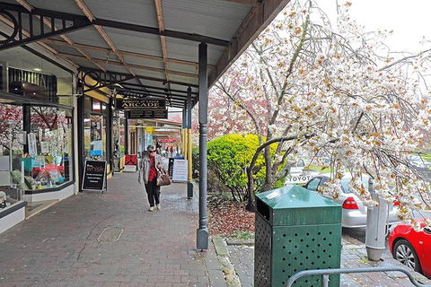 Blue Mountains Highlights & Wildlife Park - ACT Tourism 2