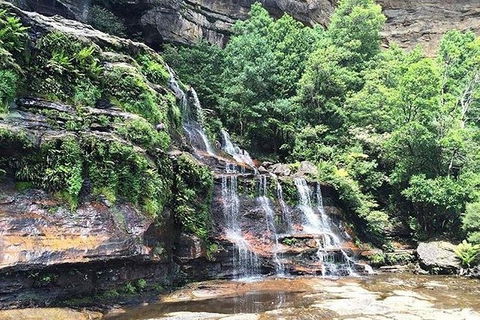 Blue Mountains Highlights & Wildlife Park - ACT Tourism 8