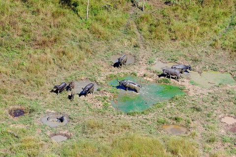 Jabiru 60 Minute Scenic Flight - ACT Tourism 7