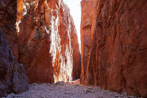 Best Of Alice Springs Full Day Tour - ACT Tourism 6
